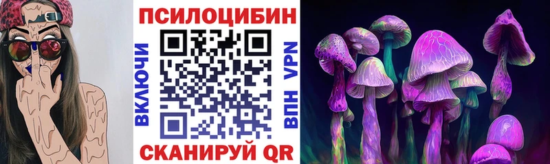 купить наркотики цена  Солнечногорск  Галлюциногенные грибы Psilocybine cubensis 